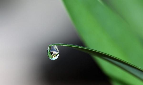 水質檢測和監測是如何實施的呢？